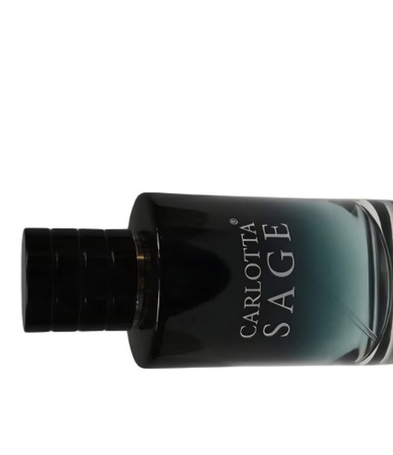 ساواچ مردانه